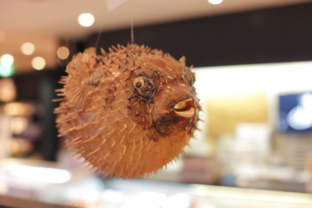 塞库米亚酒店 小濱市 外观 照片